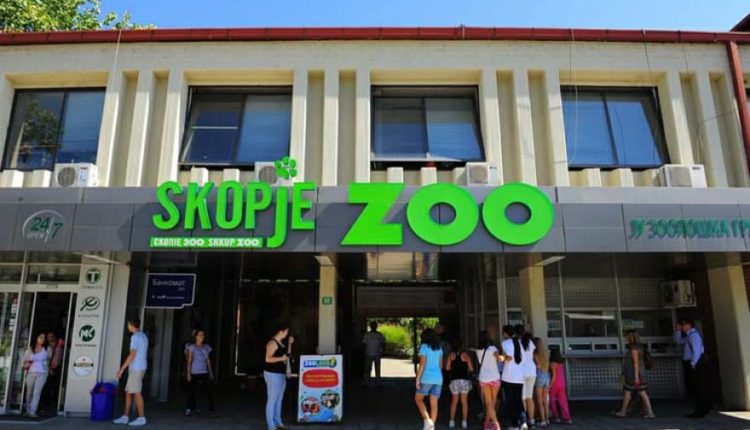 AUV: Konfirmohet virusi H5N1 – Kopshti Zoologjik mbyllet për tri javë!