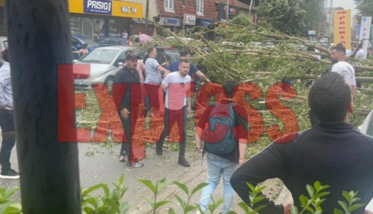 Erërat e forta rrëzojnë drunj në qendër të Prishtinës, dyshohet se kanë zënë dy persona