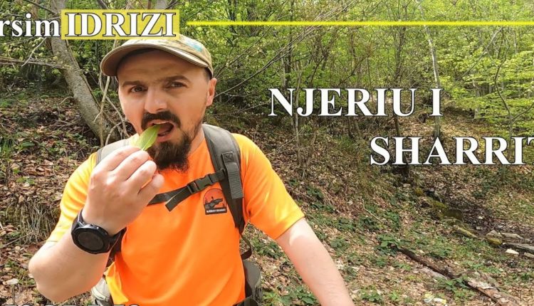 Arsimi nga Tetova, me 40 euro kaloi 4 ditë pushimet në Shqipëri (VIDEO)