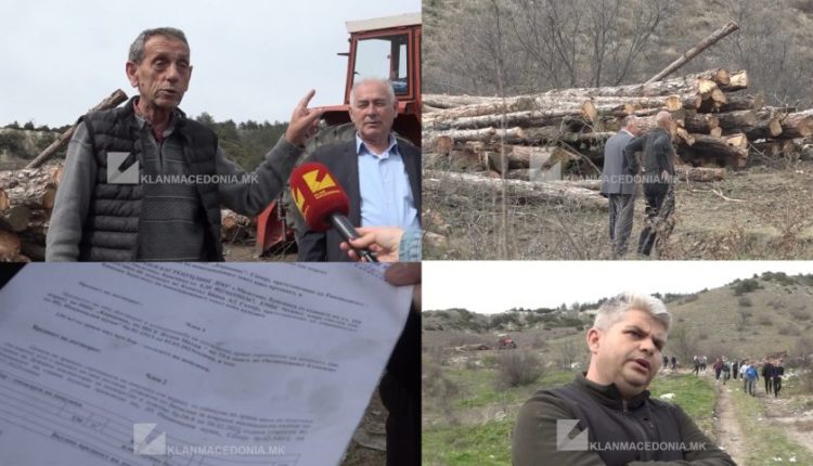 “Masakër” në fshatin Sfillare, priten qindra drunj (VIDEO)