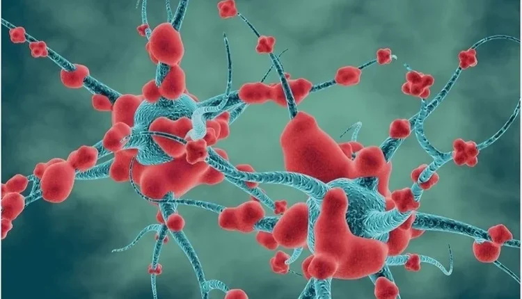 Shkencëtarët do të krijojnë një kompjuter biologjik me qeliza të njëjta me trurin e njeriut