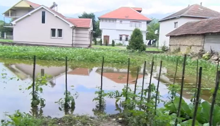 Vërshime në Jegunoc/ Vardari doli nga shtrati, të mbjellat dhe shtëpitë nën ujë