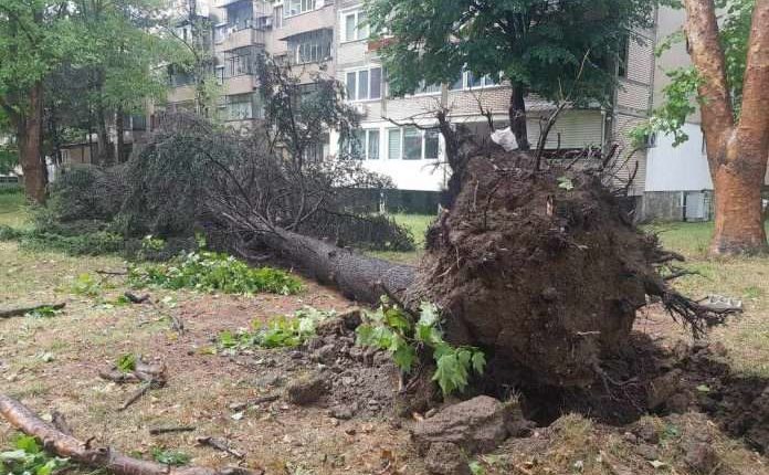 Shiu dhe erërat e forta shkaktuan dëme në Çair të Shkupit