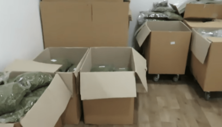 Policia gjen parregullsi në kompaninë e licencuar për prodhim të kanabisit në Maqedoni