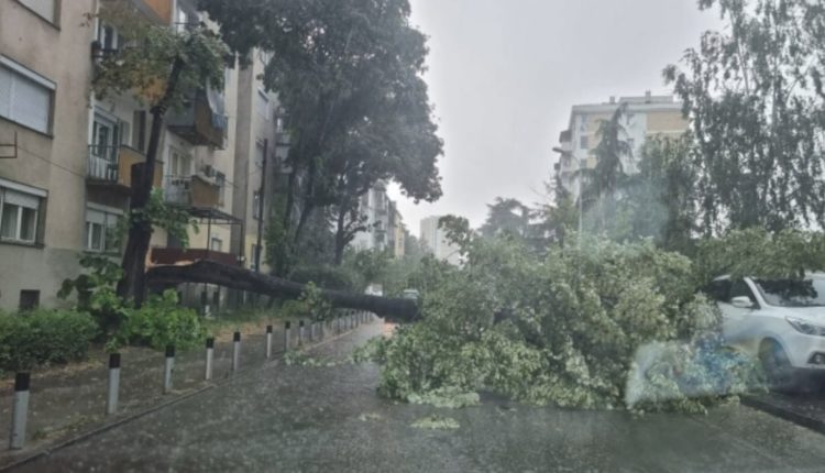 Ja çka bëri stuhia në Shkup