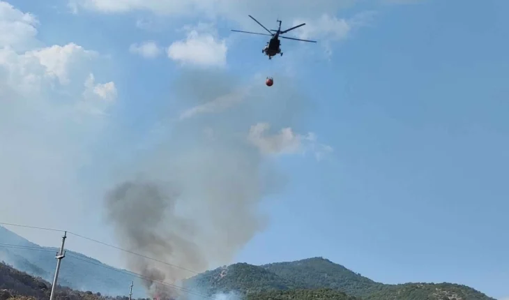 Zjarr në një pyll me pisha pranë Llozovës, në terren janë tre er traktorë dhe dy helikopterë