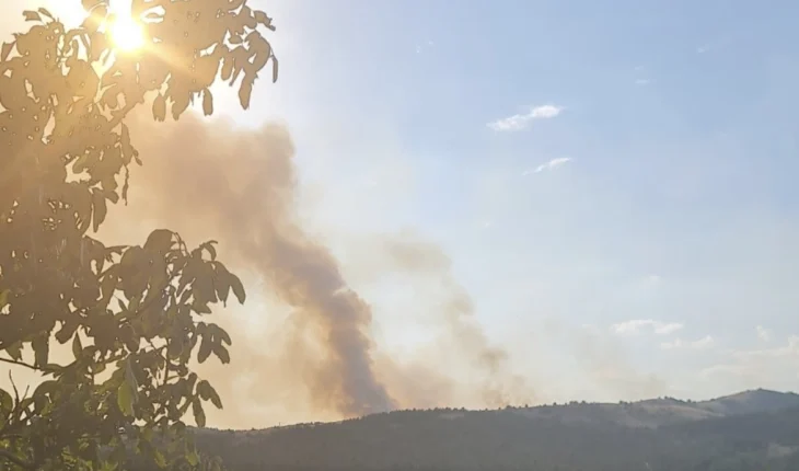 Një zjarr tjetër pyjor ka shpërthyer në territorin e komunës së Ilindenit