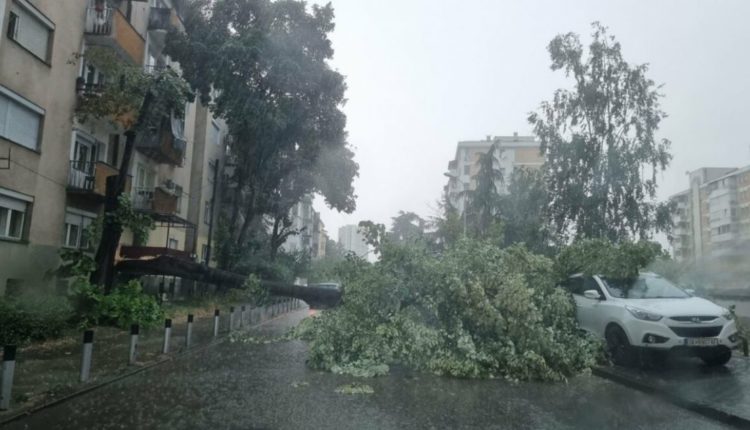 Moti i ligë edhe në Shkup: Erërat e fuqishme shkaktojnë dëme në kryeqytet