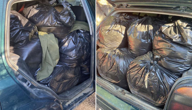 Shkupjani kapet me 200 kg duhan, e fshihte në veturën “golf” për ta shitur ilegalisht