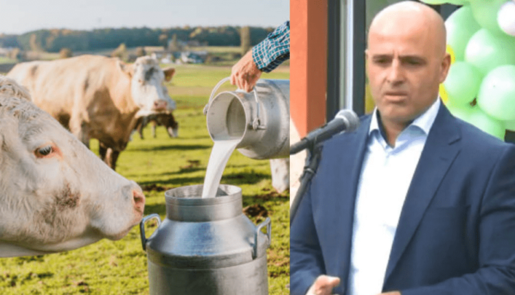 Kovaçevski: Do të ketë problem në furnizimin me qumësht