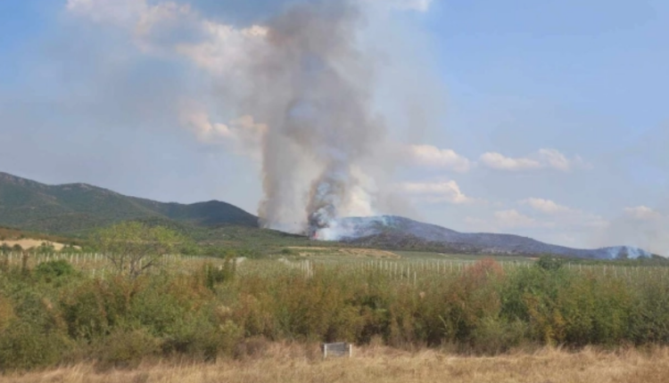 Zjarr i madh në ambient të hapur afër kufirit me Greqinë, shpërthejnë 4 granata të luftës së parë botërore