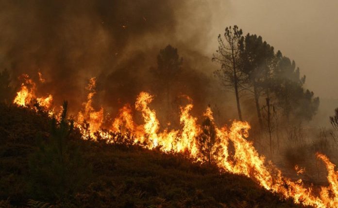 Мbi 80 tonë ujë nga helikopterët – vazhdon shuarja e zjarrit në rajonin e Velesit
