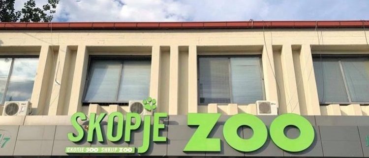 Aktivisti Kirkov: Në Kopshin Zoologjik të Shkupit ka murtajë dhe epidemi të kafshëve