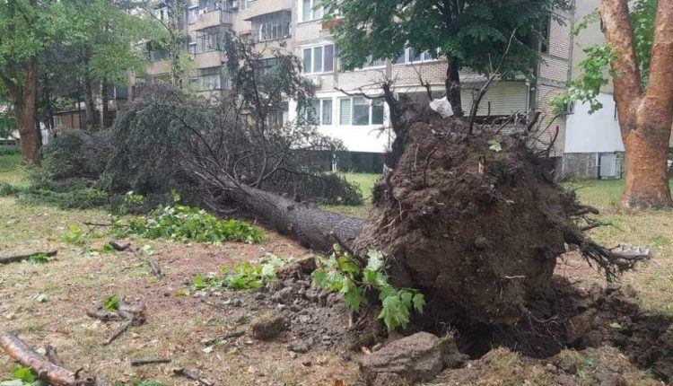 Në krahasim me vendet e rajonit, stuhia tek ne kaloi me pak dëme