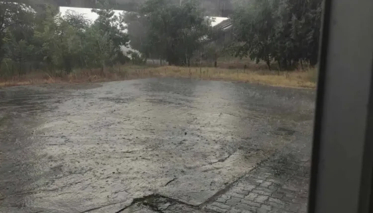 Stuhi në Gradsko, është rrëzuar një dru në rrugën e vjetër