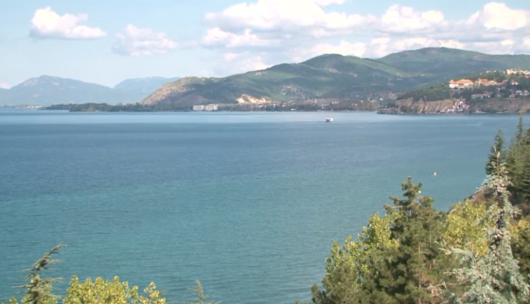 Një pjesë e OJQ-ve kundër themelimit të ndërmarrjes për Liqenin e Ohrit