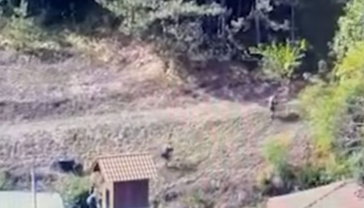Pamje të reja nga ikja e terroristëve në Banjskë: Njëri rrëzohet i plagosur, të tjerët e lënë të shtrirë në tokë dhe s’i ndihmojnë (VIDEO)