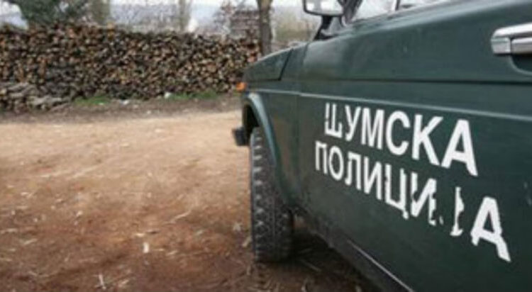 Paraburgim për një të punësuar në Policinë Pyjore të Maqedonisë, kërkoi ryshfet