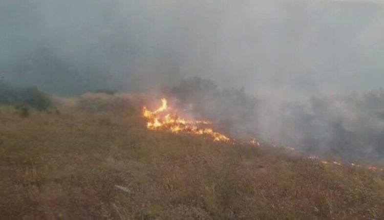 Zjarr në rrugën e vjetër Tetovë -Shkup, digjen edhe disa koshere bletësh