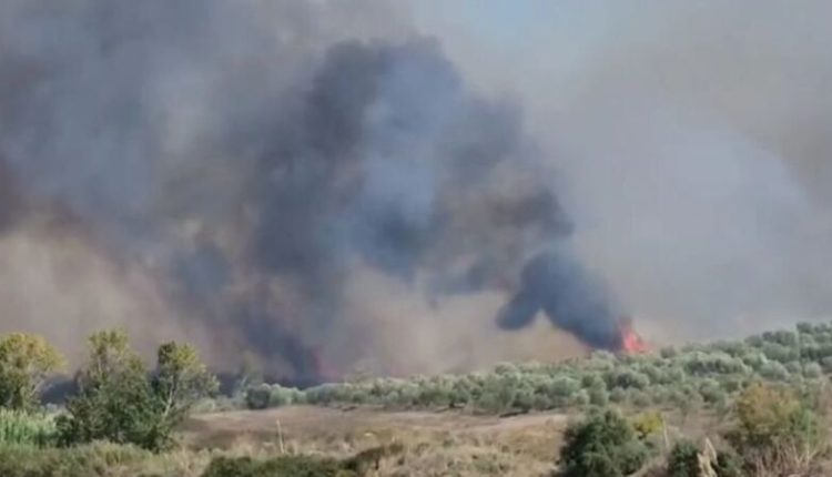 Janë shuar 20 zjarre gjatë fundjavës në Maqedoni, sot nuk ka zjarre aktive