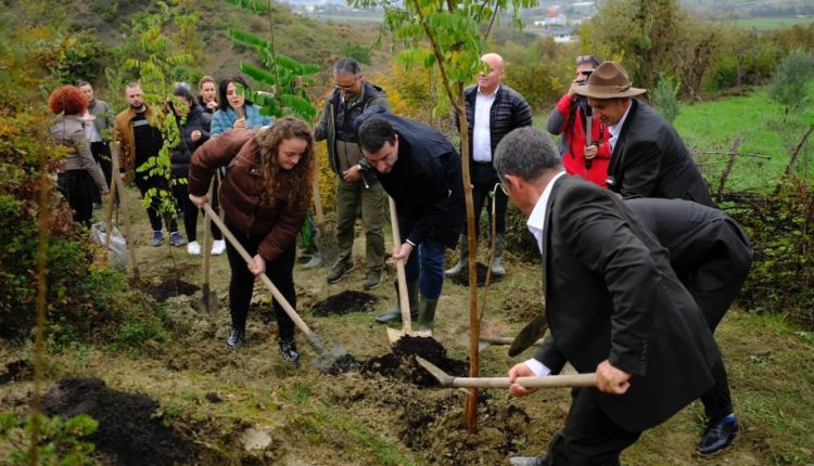 Tiranës i shtohen 2500 pemë, Veliaj: Merrni lopatat, erdhi koha e mbjelljeve