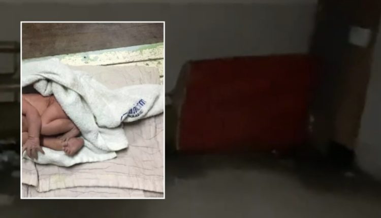 Foshnja i braktisur erdhi në jetë në divanin e bodrumit, kamerat fiksuan nënën (VIDEO)