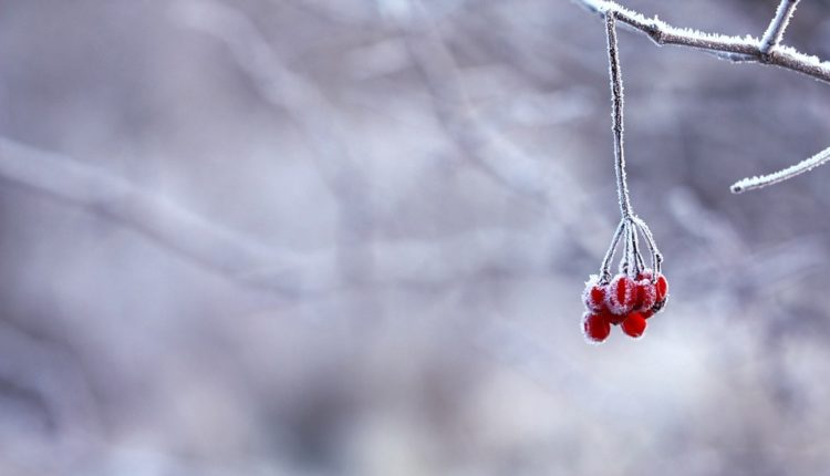 Moti sot në Maqedoninë e Veriut