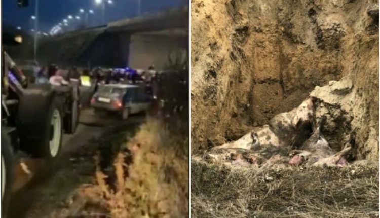 Policia arrestoi 4 banorë të Reçicës së Kumanovës pas përplasjes së një dite më parë