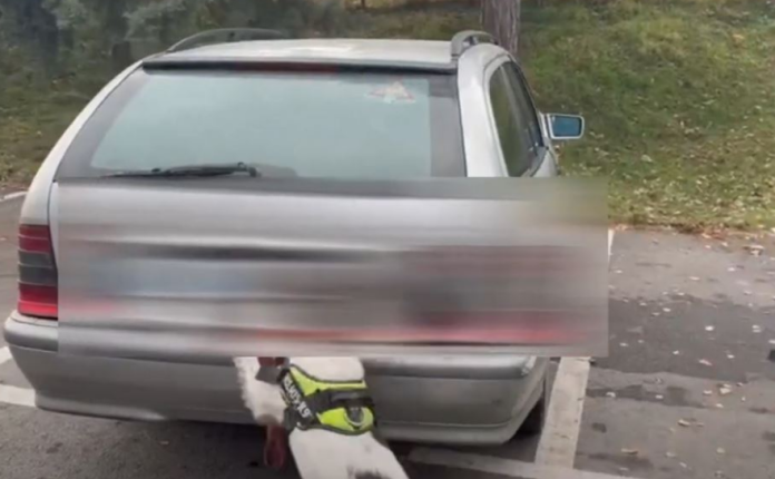 Policia gjen drogë brenda gomës së veturës, arrestohen dy shtetas nga Shqipëria (VIDEO)