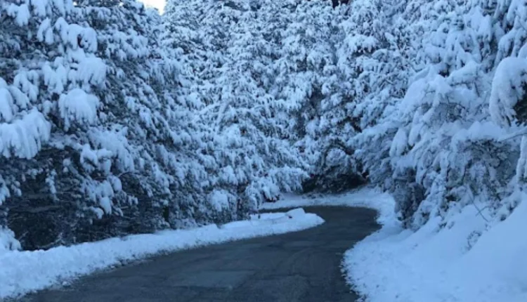 Në mbrëmje vjen cikloni/ Shi në zonat e ulëta, borë në male gjatë fundjavës, më pas ulen temperaturat deri në -9 gradë