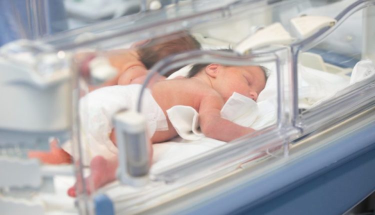 Të dhëna alarmante/ Martohen vëlla e motër në Veles se u ngatëruan gjatë birësimit