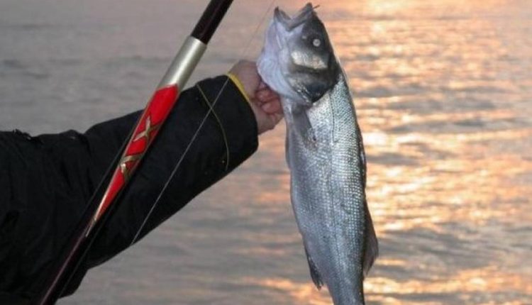 E rëndë në Durrës, 40-vjeçari bie në det duke peshkuar dhe mbytet