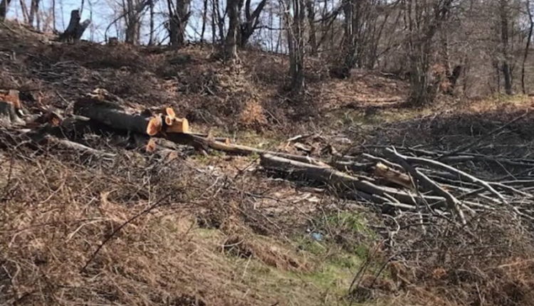 Deponitë në Malin Sharr, përplasje në mes “Parkut kombëtar” dhe Komunës së Tetovës