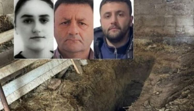 Fëmijët i vranë burrin, si nëna e Blerina Metës vrau në 2010-ën vjehrrën dhe plagosi bashkëshortin