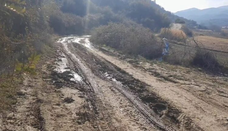Si në Mesjetë/ Tre fshatra në Poliçan pa rrugë, banorët detyrohen të zbresin në qytet me kafshë: Nuk është vënë dorë prej 30-vjetësh