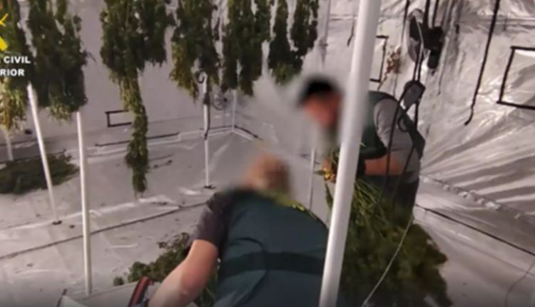 Shkatërrohet banda e drogës në Spanjë/ Arrestohen 5 persona, mes tyre edhe shqiptarë