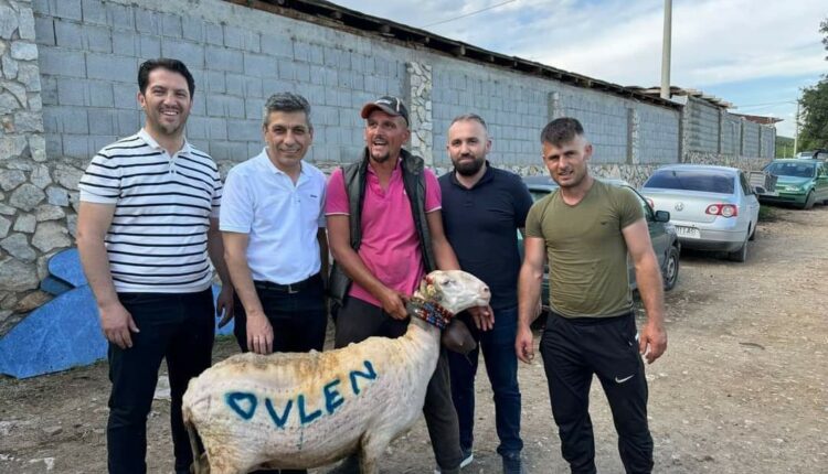VLEN bën kurban gjuhën shqipe për hir të pushtetit!