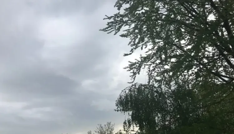 Parashikimi i motit për sot