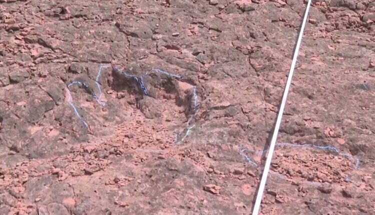 Zbulohen mbi 400 gjurmë dinozaurësh të hershëm