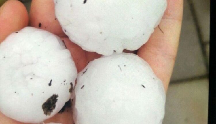 Breshër me madhësi sa kokrra e arrës në fshatin Hotël të komunës së Likovës