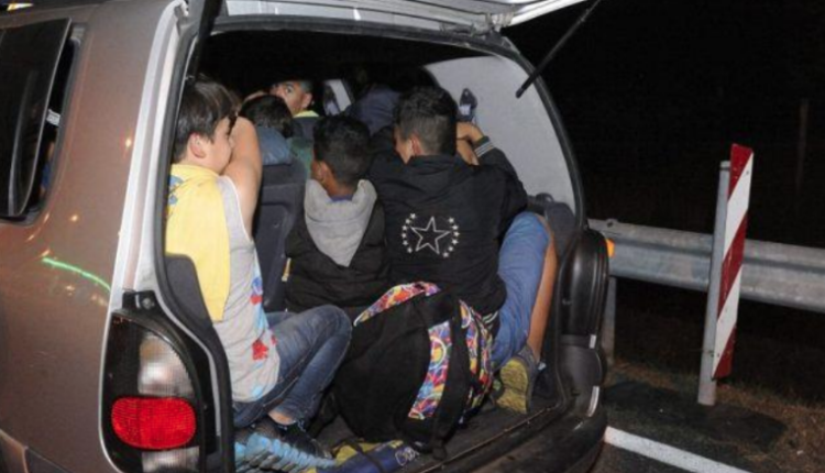 Kishte 9 emigrantë në veturë, arrestohet një person në Gjevgjeli