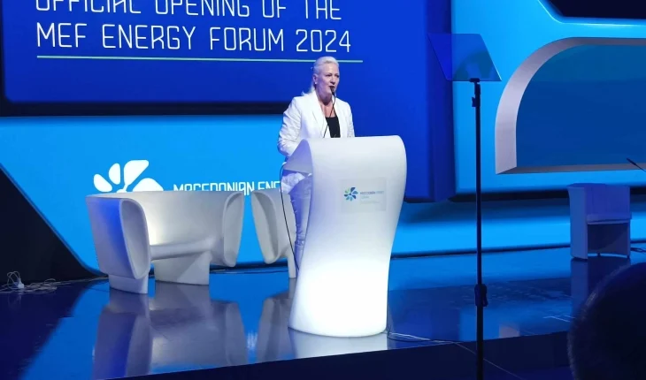 Ageler: Siguria energjetike dhe energjia e gjelbër janë prioritete që duhet t’i tejkalojnë politikat partiake