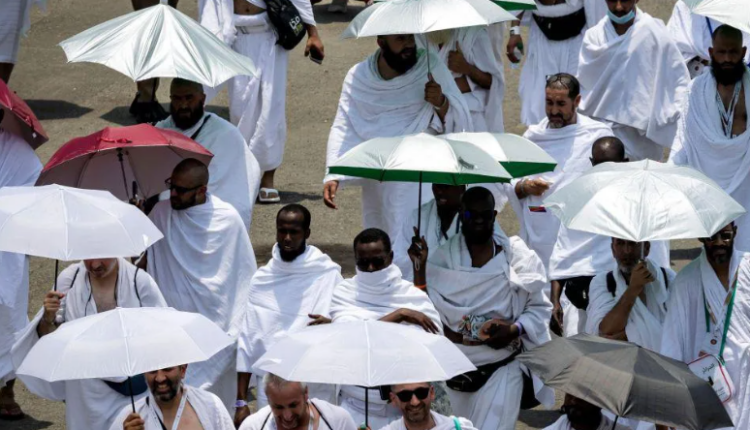 Të paktën 14 haxhinj vdesin nga vapa e madhe