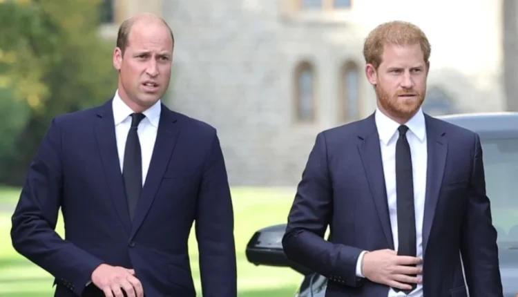 Ç’ndodhi? Princi William ndalon Harry-n të kthehet në familjen mbretërore!