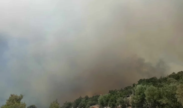 Për shkak të një zjarri është mbyllur rruga Negotinë – Shtip në Pepelishtë