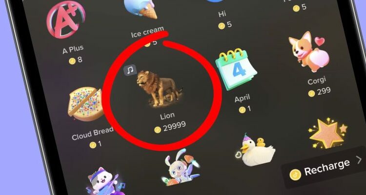 “Luanë”, “trena” e “lule”: A duhet të ndalohet TikTok-u në Kosovë?