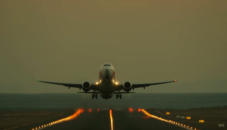 Një avion me 161 pasagjerë bën ulje të detyruar, u godit nga një zog