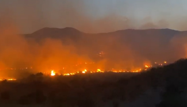 Zjarret në Gjirokastër përfshijnë Parkun e Viroit, rrezikohen edhe banesat