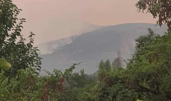 Zjarri në rajonin e Negotinës ka përfshirë edhe kodrën me tulipan endemik