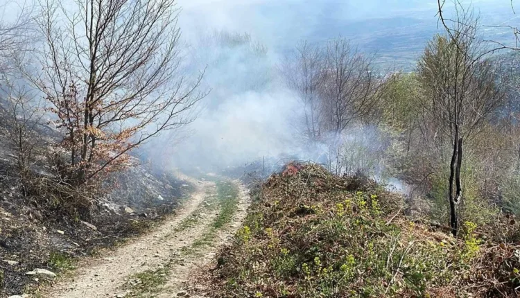 Situata më kritike është në malin Serta